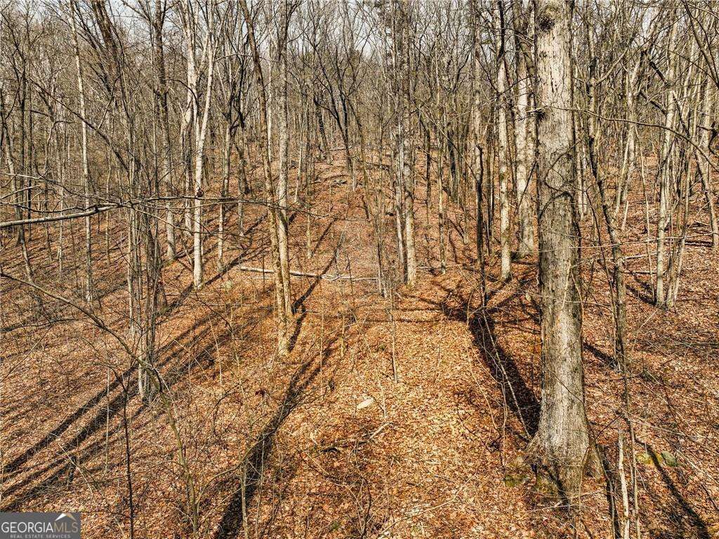 LOT 6 Mount Mincie Road, Murrayville, GA 30564