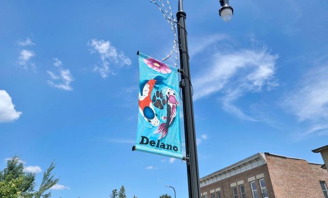 994 Big Woods Drive, Delano, MN 55328