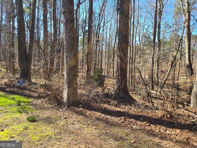 5984 Dolvin Lane, Buford, GA 30518