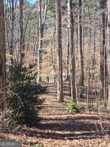 5984 Dolvin Lane, Buford, GA 30518