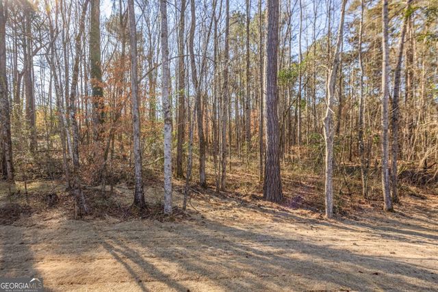 23 River's Edge Lane LOT 11, Franklin, GA 30217