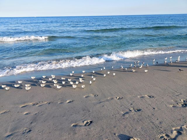 5505 N Ocean Boulevard 2-201, Ocean Ridge, FL 33435