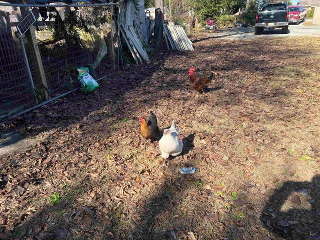 4941 Log Cabin Drive, Macon, GA 31206