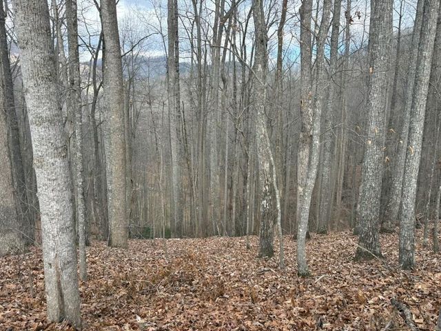 TRACT 3 Doc Thomas Ridge Road, Blairsville, GA 30512