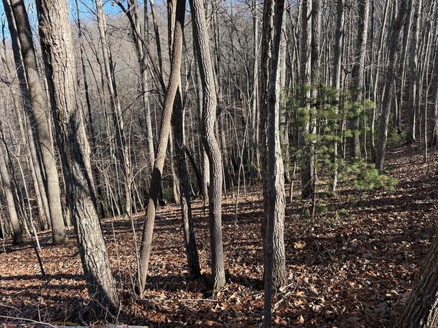 TRACT 3 Doc Thomas Ridge Road, Blairsville, GA 30512