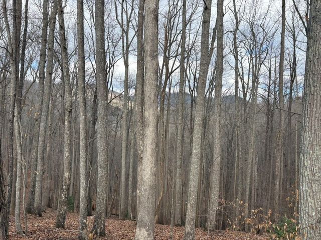 TRACT 3 Doc Thomas Ridge Road, Blairsville, GA 30512