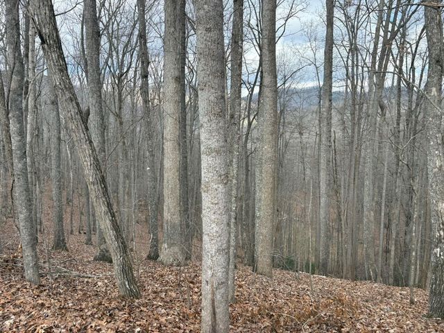 TRACT 3 Doc Thomas Ridge Road, Blairsville, GA 30512