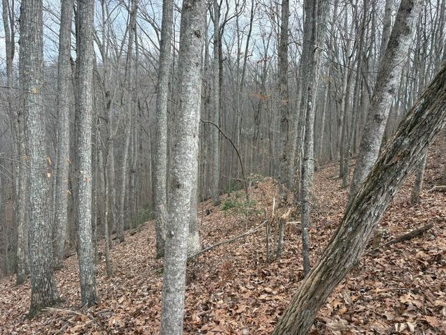 TRACT 3 Doc Thomas Ridge Road, Blairsville, GA 30512