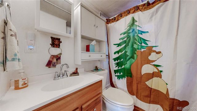 16420 W County Road 74e, Livermore, CO 80536