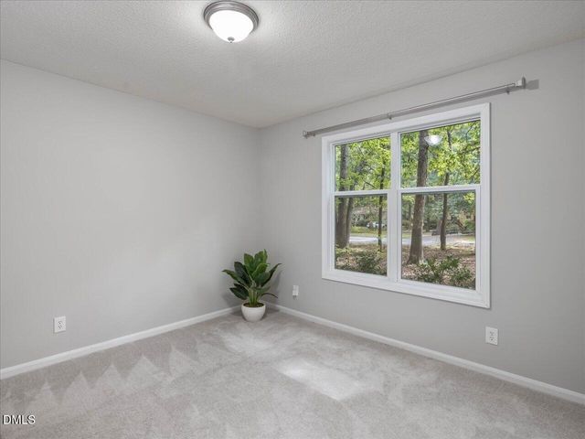 19 Meadhall Court, Durham, NC 27713