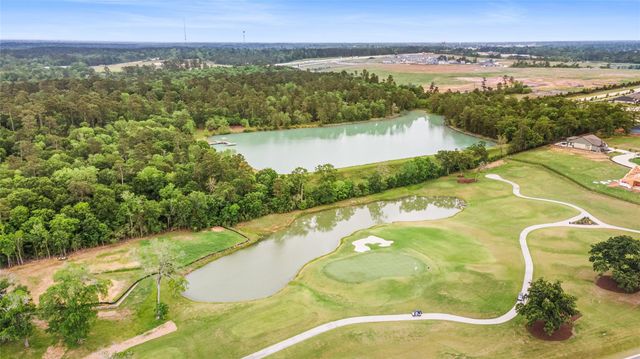 9849 Cobalt Cove, Willis, TX 77318