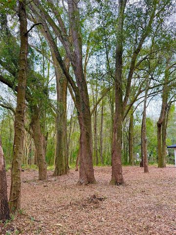 43 PINE TRACE COURSE, Ocala, FL 34472