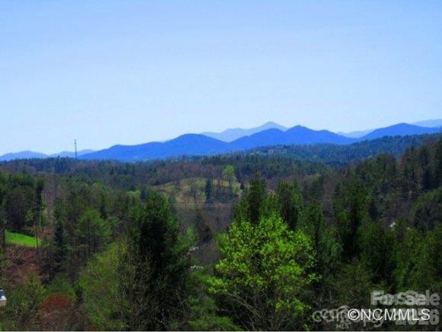 36 E Ponder Way, Weaverville, NC 28787