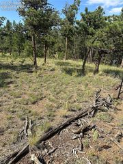 315 Thunder Ridge Road, Florissant, CO 80816