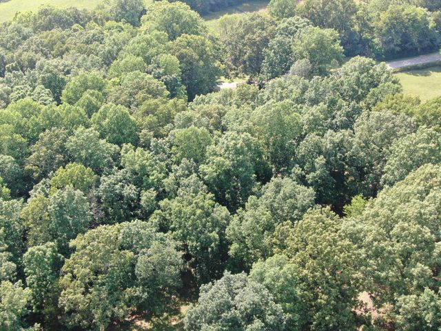 0 Smith Rd, Primm Springs, TN 38476