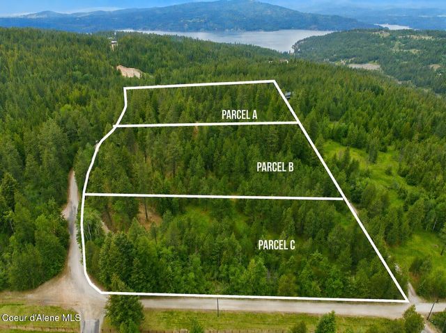 Parcel C S Dunlap Rd, Harrison, ID 83833