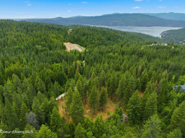 Parcel C S Dunlap Rd, Harrison, ID 83833