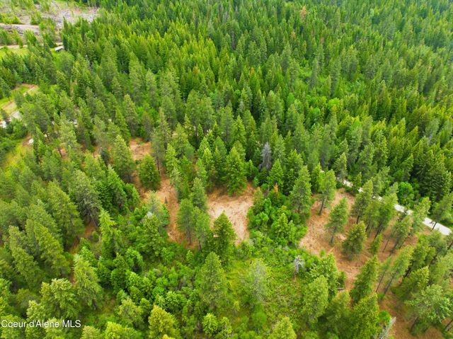 Parcel C S Dunlap Rd, Harrison, ID 83833