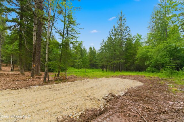 Parcel C S Dunlap Rd, Harrison, ID 83833