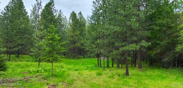 Parcel C S Dunlap Rd, Harrison, ID 83833