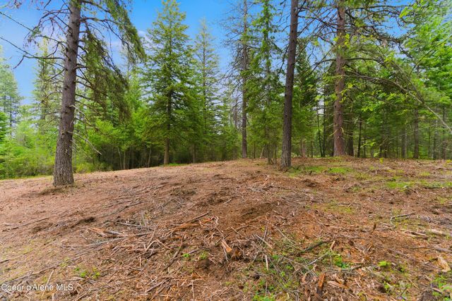 Parcel C S Dunlap Rd, Harrison, ID 83833