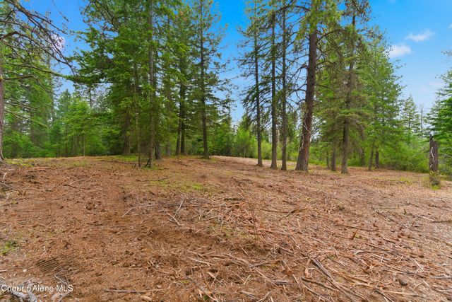 Parcel C S Dunlap Rd, Harrison, ID 83833