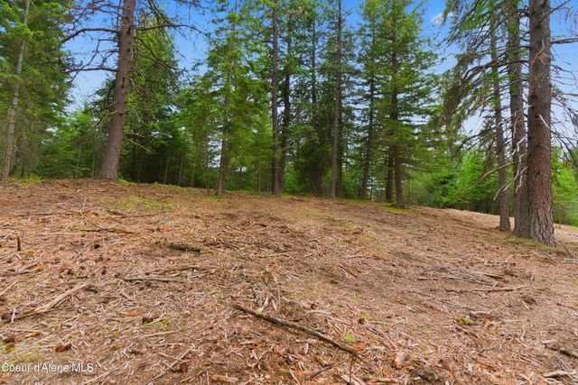Parcel C S Dunlap Rd, Harrison, ID 83833