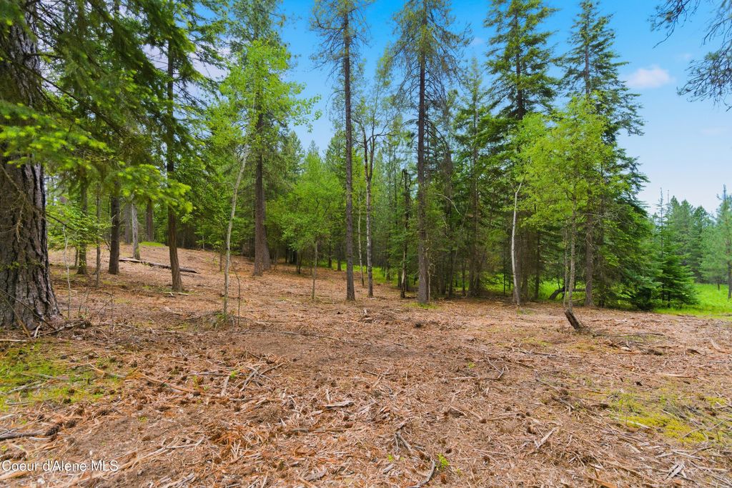 Parcel C S Dunlap Rd, Harrison, ID 83833