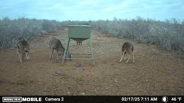 44 RANCH SOUTH TR 12, San Diego, TX 78384