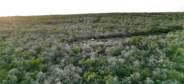 44 RANCH SOUTH TR 12, San Diego, TX 78384