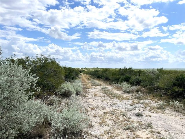 44 RANCH SOUTH TR 12, San Diego, TX 78384