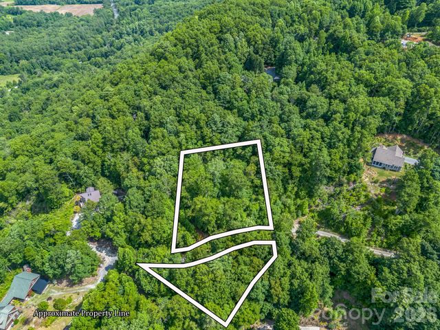 263 Parkway View Lane, Penrose, NC 28766
