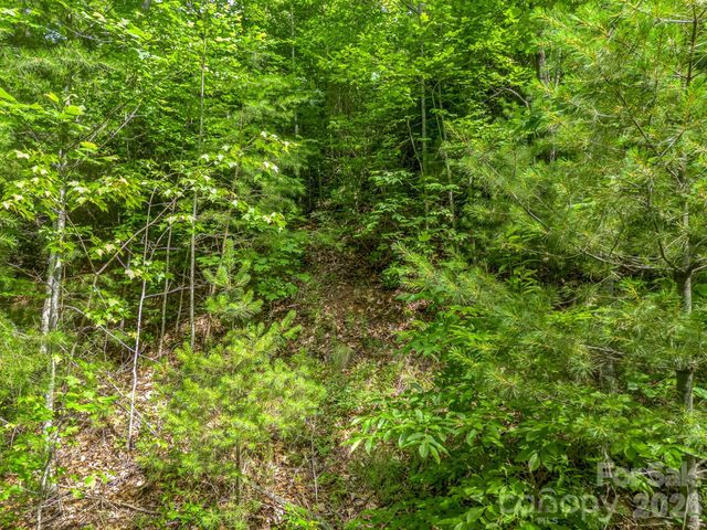 263 Parkway View Lane, Penrose, NC 28766