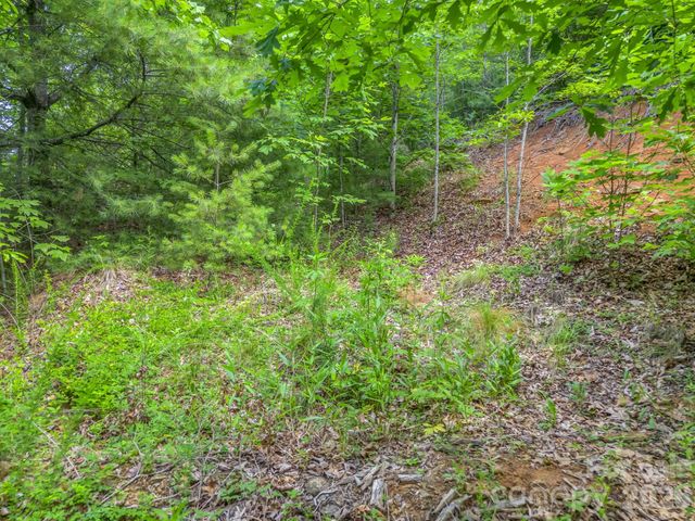 263 Parkway View Lane, Penrose, NC 28766