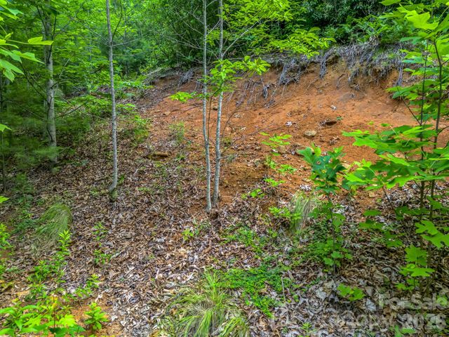 263 Parkway View Lane, Penrose, NC 28766