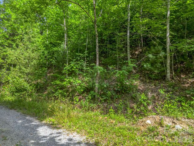 263 Parkway View Lane, Penrose, NC 28766