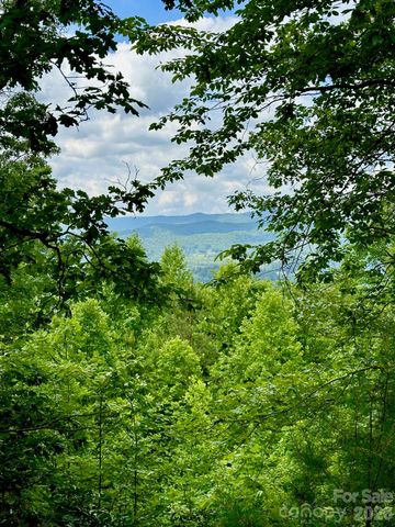 263 Parkway View Lane, Penrose, NC 28766