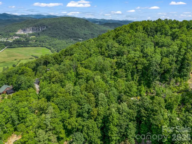 263 Parkway View Lane, Penrose, NC 28766