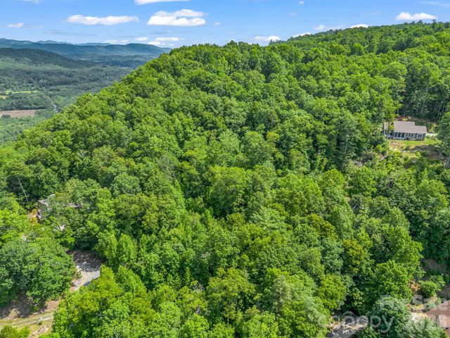 263 Parkway View Lane, Penrose, NC 28766