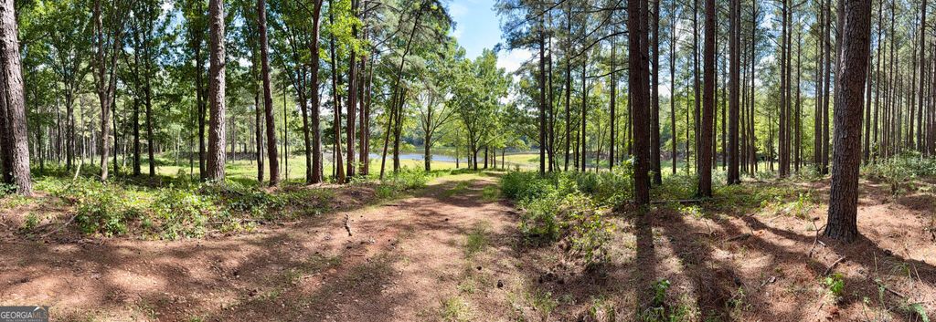 1102 Mitchell Road, Maysville, GA 30558 — photo 2