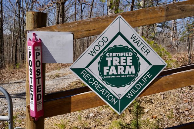 0 Simmons Road, Pikeville, TN 37367