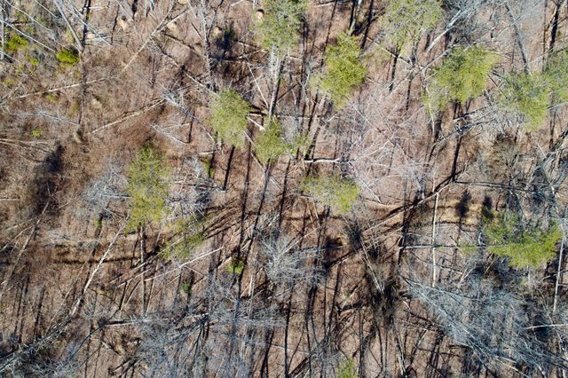 0 Simmons Road, Pikeville, TN 37367