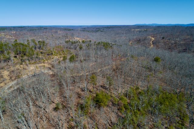 0 Simmons Road, Pikeville, TN 37367