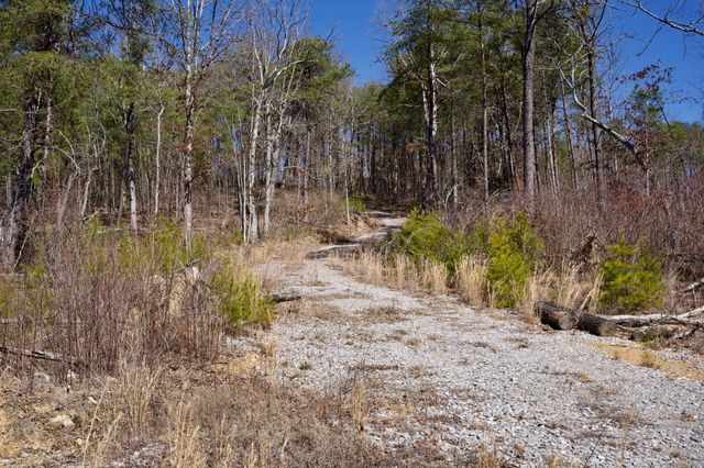 0 Simmons Road, Pikeville, TN 37367