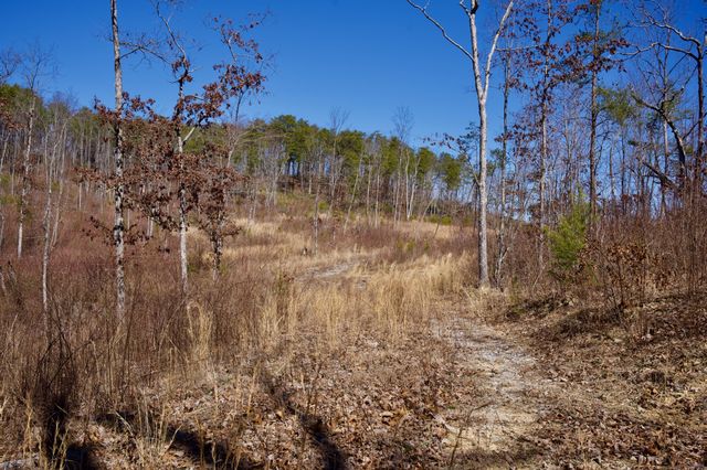 0 Simmons Road, Pikeville, TN 37367