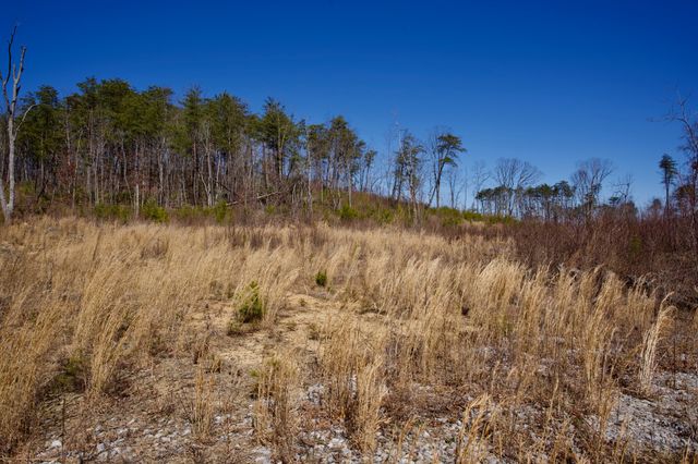 0 Simmons Road, Pikeville, TN 37367