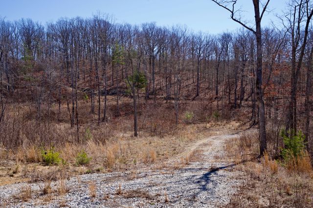 0 Simmons Road, Pikeville, TN 37367