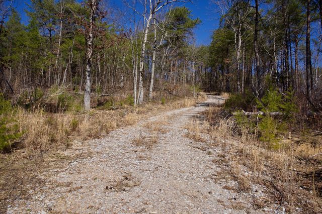 0 Simmons Road, Pikeville, TN 37367