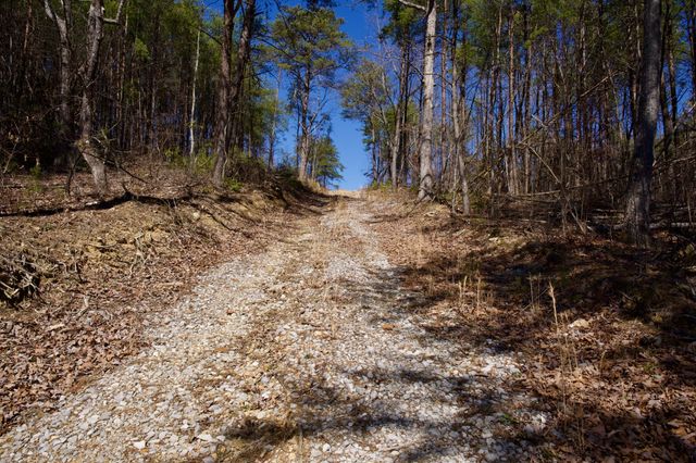 0 Simmons Road, Pikeville, TN 37367