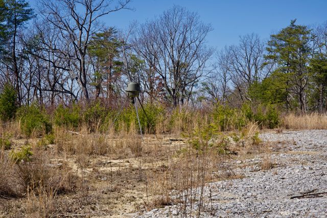 0 Simmons Road, Pikeville, TN 37367